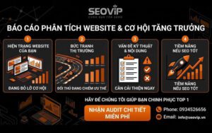 Audit Website